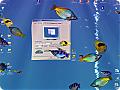 Download 3D Screensaver - Aqua 3D