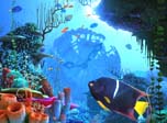 Download 3D Screensaver - Coral Clock 3D