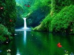 Green Waterfalls Bildschirmschoner - Bildschirmschoner von Tieren