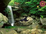 Jungle Falls Bildschirmschoner - Bildschirmschoner von Tieren