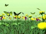 Nature Screensaver - Butterflies Kingdom 3D - Screenshot #1