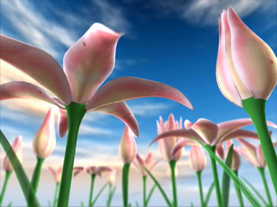 Flowers Meadow 3D