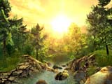 3D Nature Screensaver - Nature 3D