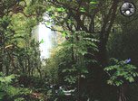 Kostenloser Bildschirmschoner - Rainy Forest - Screenshot #3