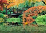 Autumn Scenery animierte Wallpaper