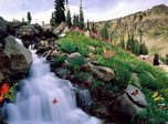 Bewitching Cascades Screensaver - Water Screensavers