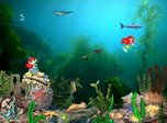 Mermaids Kingdom Bildschirmschoner - Natur-Bildschirmschoner