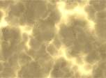 Sunny Water 3D Screensaver - Water Screensavers