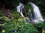 Free Popular Screensaver - Charming Waterfalls - Screenshot #1