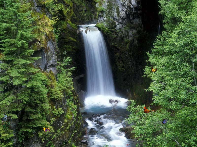 Free Popular Screensaver - Charming Waterfalls 