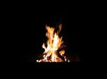 Free Fireplace Screensaver - Fire - Screenshot #1