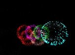 Free Fireworks 3D Screensaver - Fireworks 3D - Screenshot #6