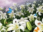 Blumen-Bildschirmschoner - Flowers And Butterflies - Screenshot #1