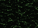 Freier Neuronen-Bildschirmschoner - Neurons Galaxy - Screenshot #2