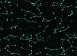 Freier Neuronen-Bildschirmschoner - Neurons Galaxy - Screenshot #5